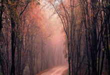 [CBA]孙铭徽缺席四周 浙江方兴渡不敌上海久事.