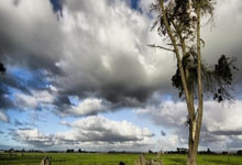 亿万28平台:0-0!那不勒斯7轮仅1胜,孔蒂单线近乎缴械,国米盼8连杀亚特兰大.