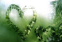 英超：阿申纳爆冷以0比1败给西哈姆.